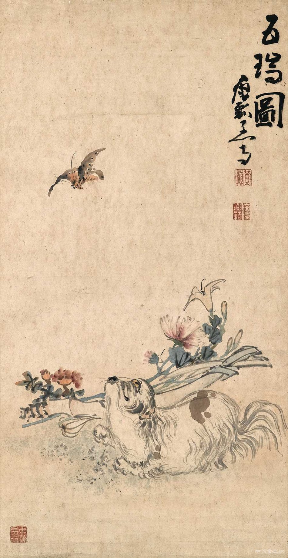 ������������ͼ��