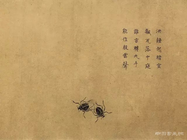中国画里的“草虫”